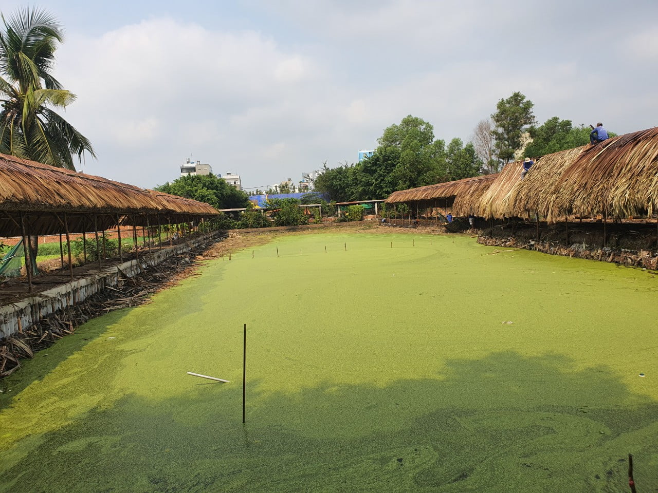 Thi Công Nhà Tre Mái Lá Quận 12 9 Thi Công Nhà Tre Mái Lá Quận 12