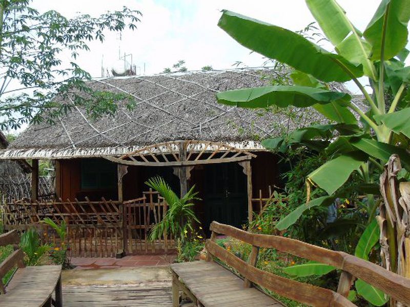 Hướng dẫn cách lợp nhà bằng lá dừa nước truyền thống của miền Tây Nam Bộ