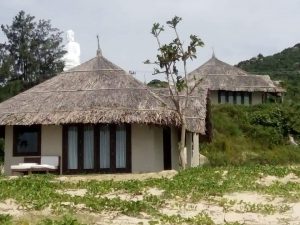 Thi Công Mái Lá Dừa Nước Nhanh | Tiện Lợi | Giá Bất Ngờ