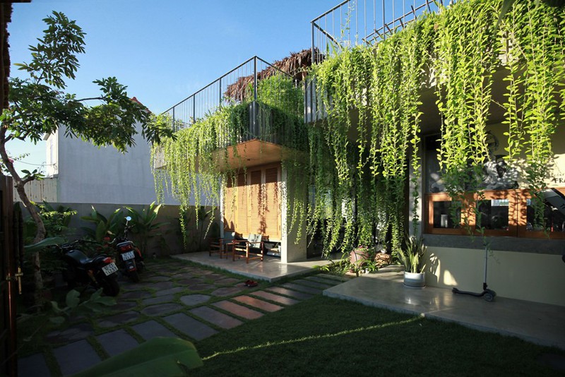 Ngôi nhà mái lá cỏ tranh nổi bật giữa lòng đô thị