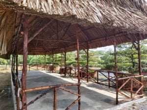 THI CÔNG MÁI LÁ GIÁ RẺ TẠI TP.HỒ CHÍ MINHTP.Hồ Chí Minh là một bức t