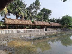 Chuyên : Thi công mái lá, nhà lá dừa nước Thảo Vinh
CÔNG TY TNHH PHÁT