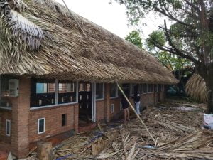 ĐỊA CHỈ THI CÔNG CHÒI LÁ CHẤT LƯỢNGDù là ai thì trong suy nghĩ cũng