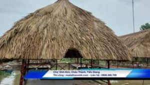 Đã thi công : Chợ Vĩnh Kim, Châu Thành Tiền Giang.
Sảnh ngang 12m dài