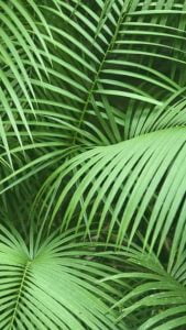 Hoàn thiện chòi bát giác kết hợp cầu sắt.