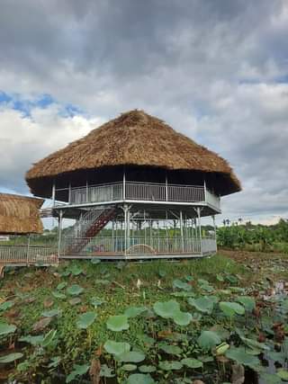 Hoàn thiện chòi bát giác kết hợp cầu sắt.
...
Đã thi công : Chòi Bát