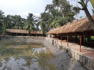 THI CÔNG MÁI LÁ GIÁ CỰC RẺ!!!Phố thị ồn ào, tấp nập với nhiều ngôi n