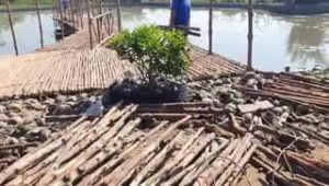 Update - Cầu cây đước Nhơn Trạch - Đồng Nai
Thi công mái lá | nhà lá